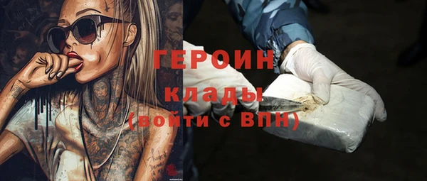 стаф Гусев
