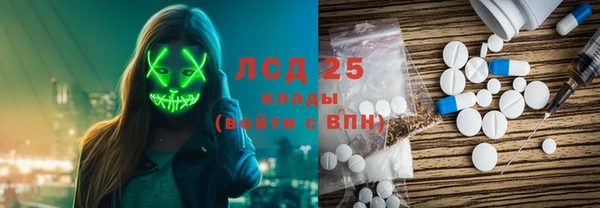 стаф Гусев