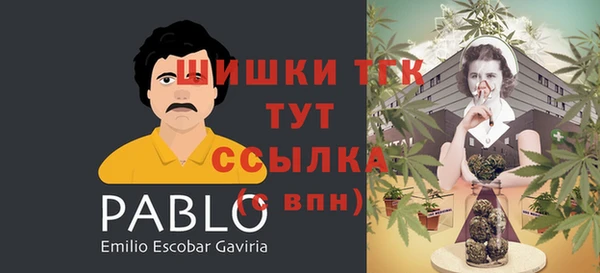 стаф Гусев