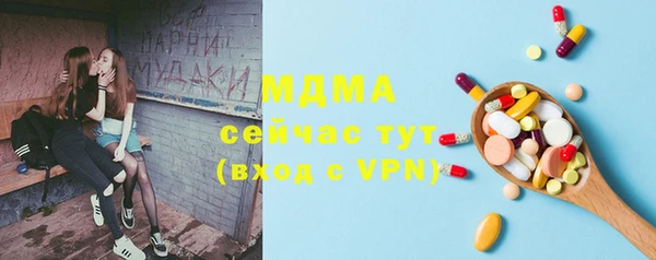 ECSTASY Гусь-Хрустальный
