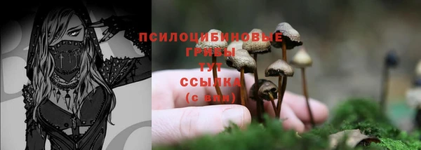 марки lsd Гусиноозёрск