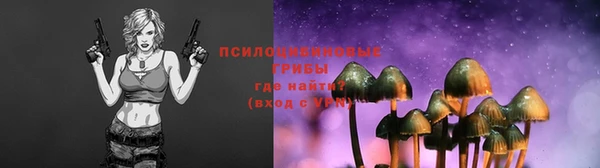 ECSTASY Гусь-Хрустальный