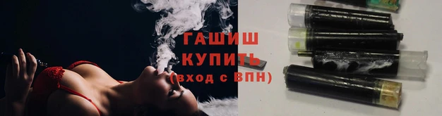 стаф Гусев