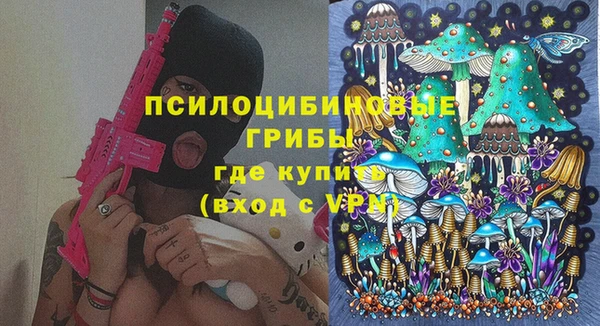 стаф Гусев