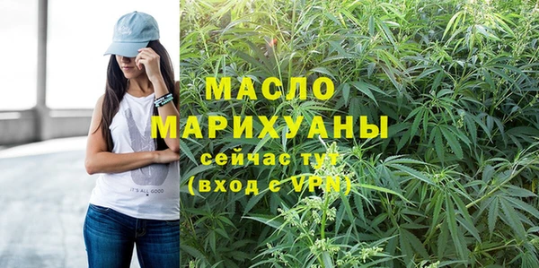 ECSTASY Гусь-Хрустальный