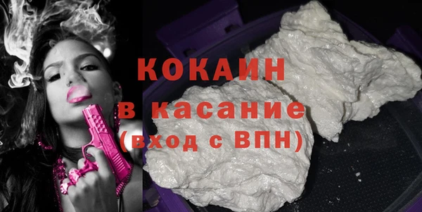 стаф Гусев