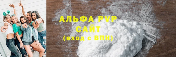 ECSTASY Гусь-Хрустальный