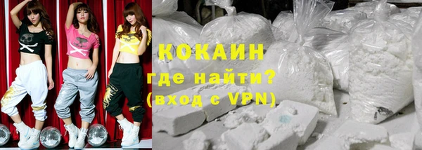 ECSTASY Гусь-Хрустальный