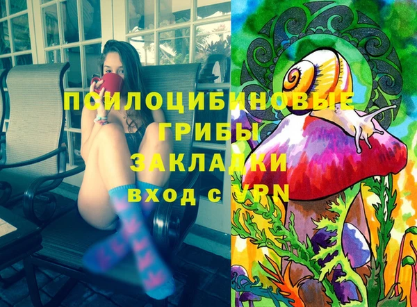 стаф Гусев