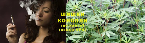 стаф Гусев