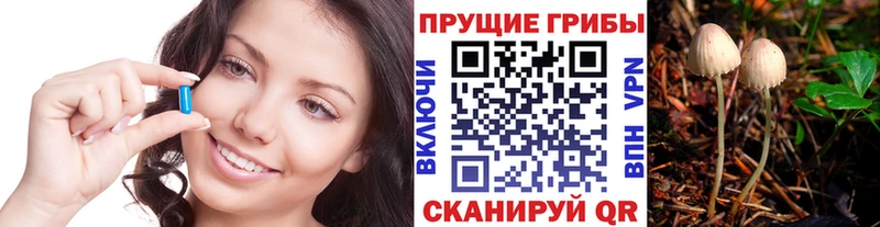 Галлюциногенные грибы GOLDEN TEACHER  гидра ссылка  Далматово 